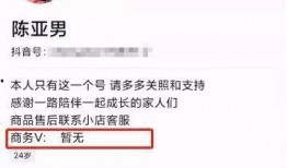 陈亚楠爆料录音内容视频,揭秘爆料录音内容真相